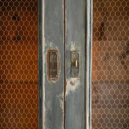 L' λᄂᄂөggiө Di Kλmλ' * Cesena